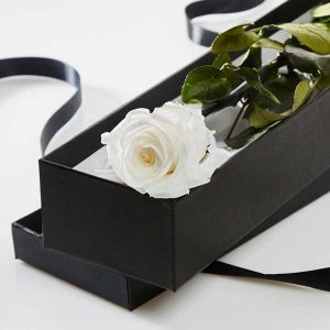 جعبه-هارد-باکس-گل-3
